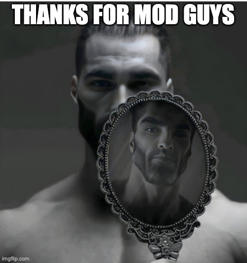 Np bro | THANKS FOR MOD GUYS | image tagged in gigachad mirror | made w/ Imgflip meme maker