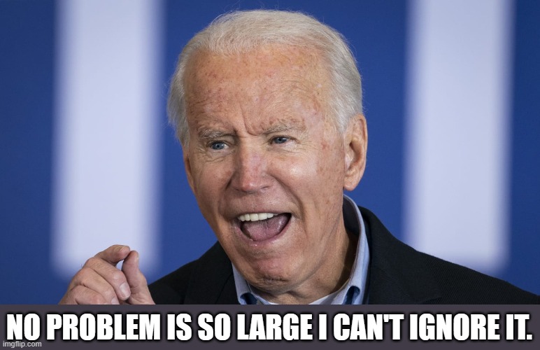 NO PROBLEM IS SO LARGE I CAN'T IGNORE IT. | image tagged in biden | made w/ Imgflip meme maker