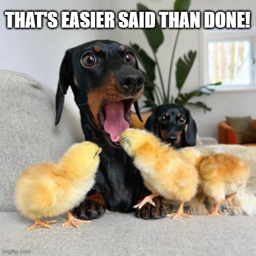 THAT'S EASIER SAID THAN DONE! | image tagged in chick biting dog | made w/ Imgflip meme maker