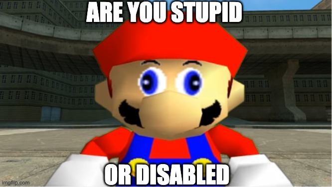 SMG4 Mario derp reaction | ARE YOU STUPID OR DISABLED | image tagged in smg4 mario derp reaction | made w/ Imgflip meme maker