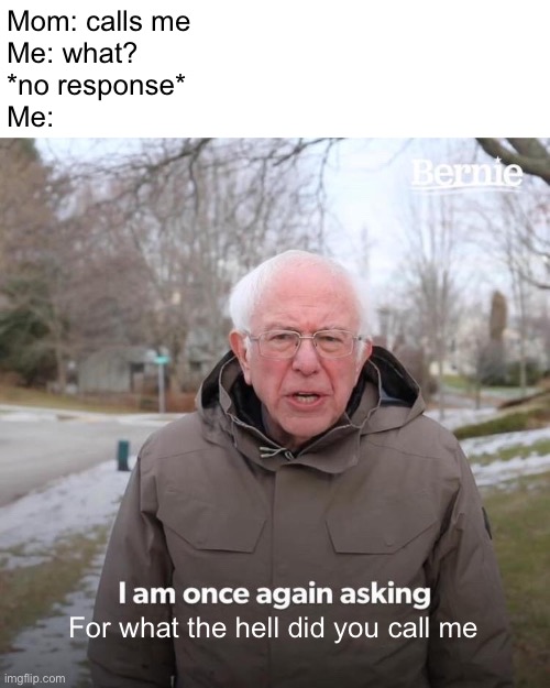 Bernie I Am Once Again Asking For Your Support | Mom: calls me
Me: what?
*no response*
Me:; For what the hell did you call me | image tagged in memes,bernie i am once again asking for your support,funny,mom | made w/ Imgflip meme maker