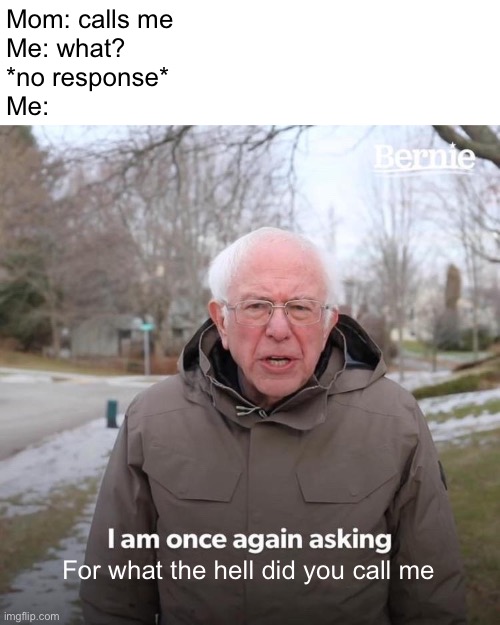 Bernie I Am Once Again Asking For Your Support Meme | Mom: calls me
Me: what?
*no response*
Me:; For what the hell did you call me | image tagged in memes,bernie i am once again asking for your support,funny,mom | made w/ Imgflip meme maker