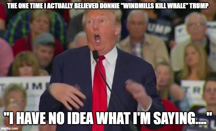 Donald Trump Mocking Disabled | THE ONE TIME I ACTUALLY BELIEVED DONNIE "WINDMILLS KILL WHALE" TRUMP; "I HAVE NO IDEA WHAT I'M SAYING...." | image tagged in donald trump mocking disabled | made w/ Imgflip meme maker