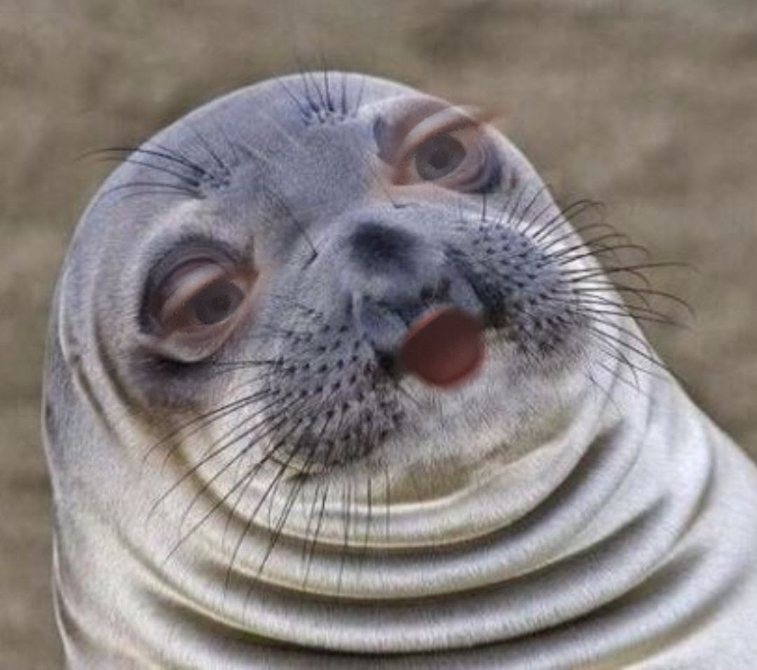 High Quality Derpy seal Blank Meme Template