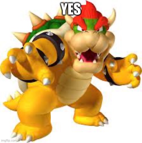 Bowser | YES | image tagged in bowser | made w/ Imgflip meme maker