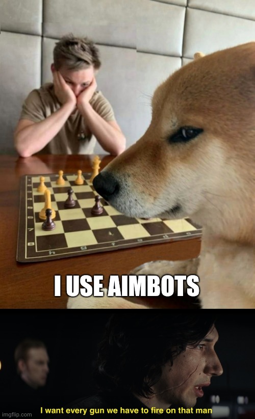 I USE AIMBOTS | image tagged in chess doge,i want every gun we have to fire at that man | made w/ Imgflip meme maker