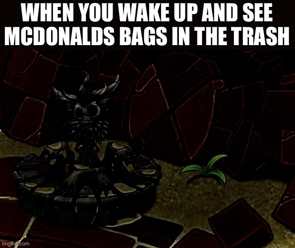 Oh you were asleep so we didn’t want to bother you | WHEN YOU WAKE UP AND SEE MCDONALDS BAGS IN THE TRASH | image tagged in loodvigg msm,mcdonalds | made w/ Imgflip meme maker