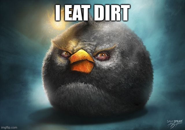 Actual quote | I EAT DIRT | image tagged in angry birds bomb | made w/ Imgflip meme maker