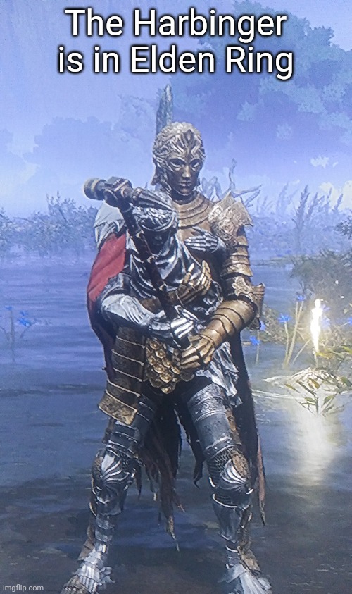 Yes I stole D's clothes because they're cool | The Harbinger is in Elden Ring | made w/ Imgflip meme maker