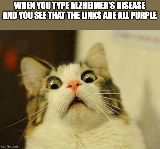 This would be pretty scary | WHEN YOU TYPE ALZHEIMER'S DISEASE AND YOU SEE THAT THE LINKS ARE ALL PURPLE | image tagged in memes,scared cat,alzheimer's,memory | made w/ Imgflip meme maker