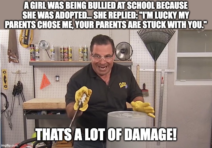 Seems to be a fair response honestly | A GIRL WAS BEING BULLIED AT SCHOOL BECAUSE SHE WAS ADOPTED... SHE REPLIED: "I'M LUCKY MY PARENTS CHOSE ME, YOUR PARENTS ARE STUCK WITH YOU."; THATS A LOT OF DAMAGE! | image tagged in phil swift that's a lotta damage flex tape/seal,adopted,bullying | made w/ Imgflip meme maker