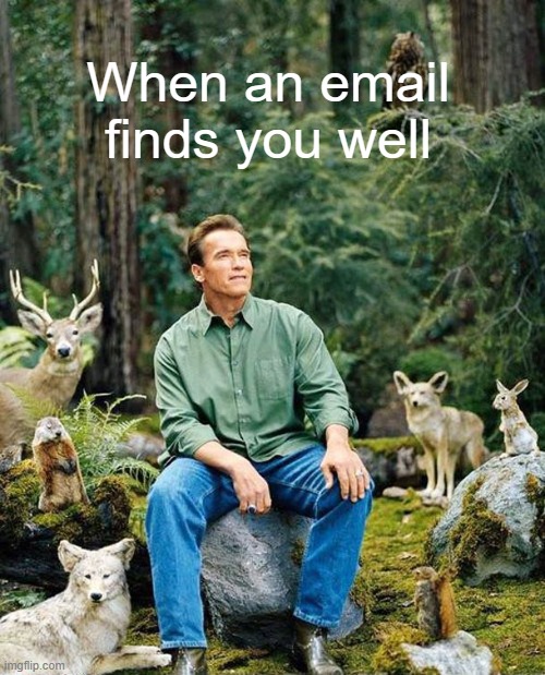 aS pEr mY LAsT eMAil... | When an email finds you well | image tagged in arnold nature | made w/ Imgflip meme maker