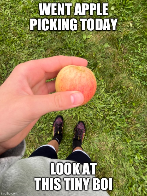 (Mod note: that’s tiny XD)(Second Note: smol boi) | WENT APPLE PICKING TODAY; LOOK AT THIS TINY BOI | made w/ Imgflip meme maker