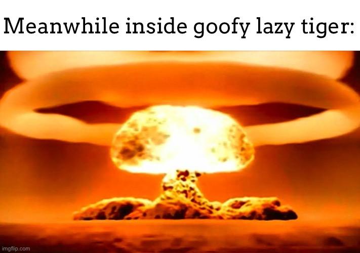 Nuke | Meanwhile inside goofy lazy tiger: | image tagged in nuke | made w/ Imgflip meme maker