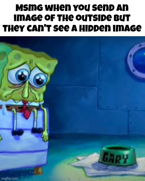 Gary Come Home | Msmg when you send an image of the outside but they can't see a hidden image | image tagged in gary come home,msmg | made w/ Imgflip meme maker
