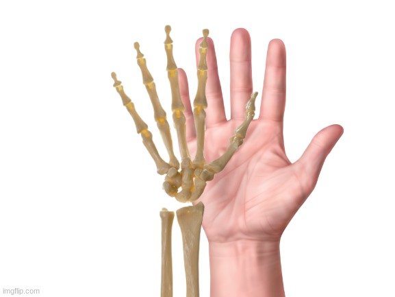 High Quality Skeleton Human Hand High-Five Blank Meme Template