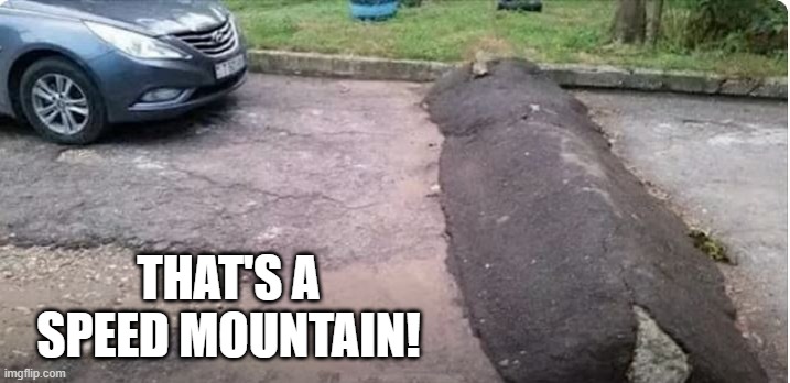 A Real BUMP | THAT'S A SPEED MOUNTAIN! | image tagged in you had one job | made w/ Imgflip meme maker