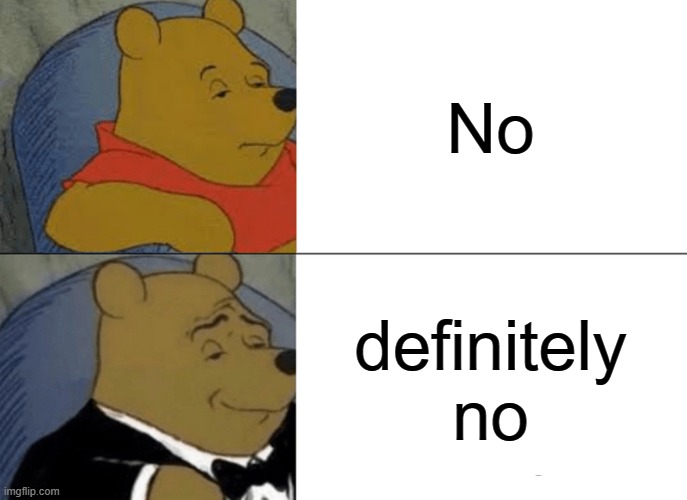 No | No; definitely no | image tagged in memes,tuxedo winnie the pooh | made w/ Imgflip meme maker