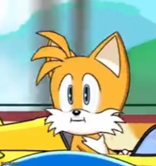 Caption this | image tagged in tails hold up | made w/ Imgflip meme maker