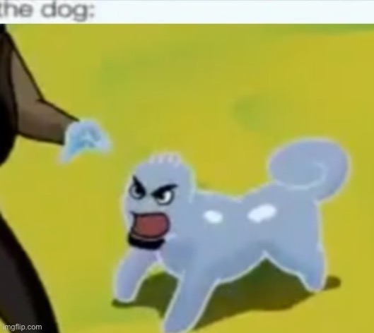 The dog: | image tagged in the dog | made w/ Imgflip meme maker