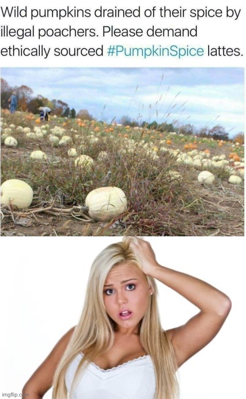 It’s biology | image tagged in basic white girl,biology,pumpkin spice | made w/ Imgflip meme maker