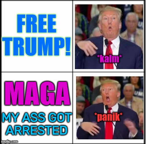FREE DONALD TRUMP! | FREE TRUMP! MAGA; MY ASS GOT 
ARRESTED | image tagged in trump yes no calm panic kalm panik,donald trump approves,donald trump,us-president-joe-biden,maga,america | made w/ Imgflip meme maker