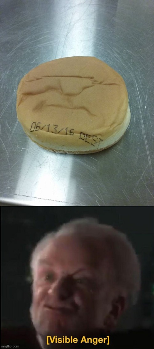 Printed on burger bun | image tagged in visible anger,burger,bun,buns,you had one job,memes | made w/ Imgflip meme maker