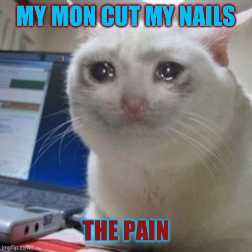 Crying cat | MY MON CUT MY NAILS; THE PAIN | image tagged in crying cat | made w/ Imgflip meme maker
