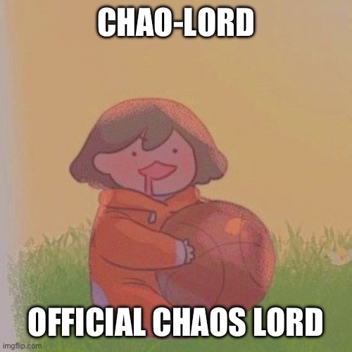 i got lazy | CHAO-LORD; OFFICIAL CHAOS LORD | image tagged in kel | made w/ Imgflip meme maker