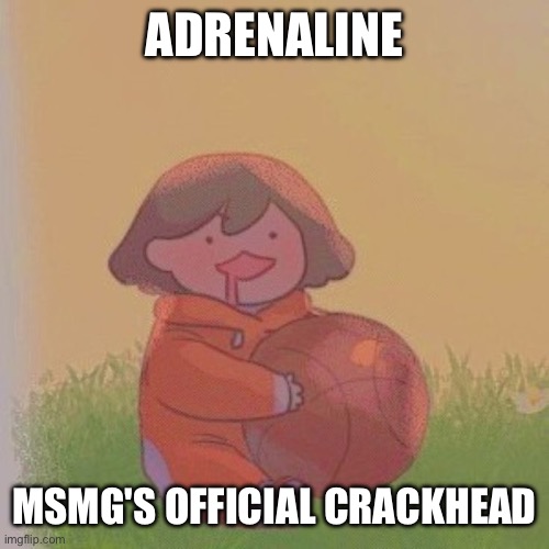 get it, because he has a lot of adrenaline | ADRENALINE; MSMG'S OFFICIAL CRACKHEAD | image tagged in kel | made w/ Imgflip meme maker