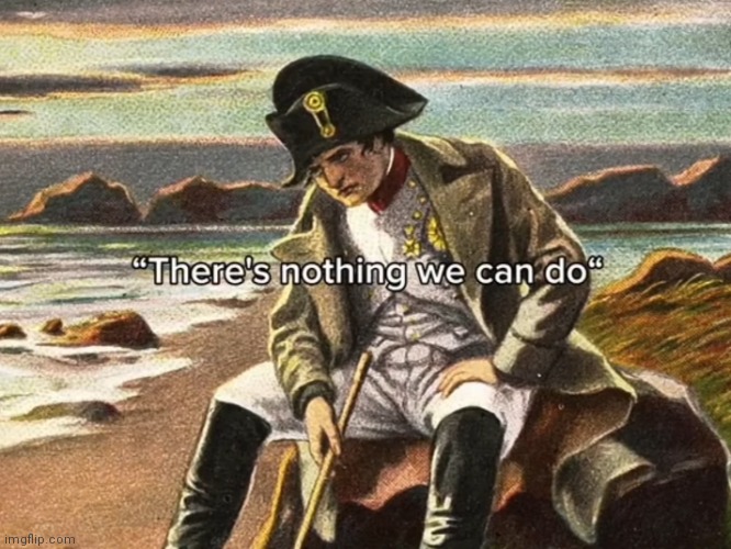 There's nothing we can do, there is nothing that we can do,Napo | image tagged in there's nothing we can do there is nothing that we can do napo | made w/ Imgflip meme maker