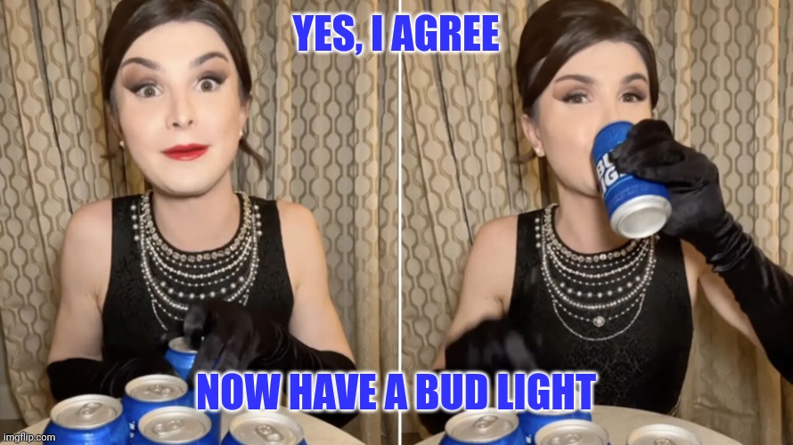 YES, I AGREE NOW HAVE A BUD LIGHT | image tagged in dylan mulvaney - 5 billion dollar man | made w/ Imgflip meme maker