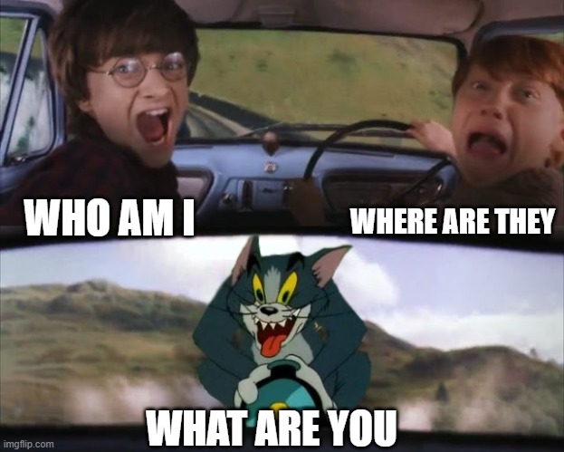WHO AM I | WHERE ARE THEY; WHO AM I; WHAT ARE YOU | image tagged in tom chasing harry and ron weasly,who am i,what are you | made w/ Imgflip meme maker