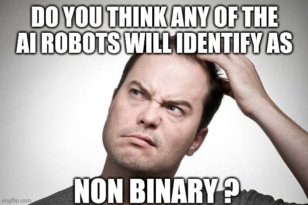 10110001111101010103010011101 | DO YOU THINK ANY OF THE AI ROBOTS WILL IDENTIFY AS; NON BINARY ? | image tagged in confused,artificial intelligence,robot,transgender,non binary,coding | made w/ Imgflip meme maker