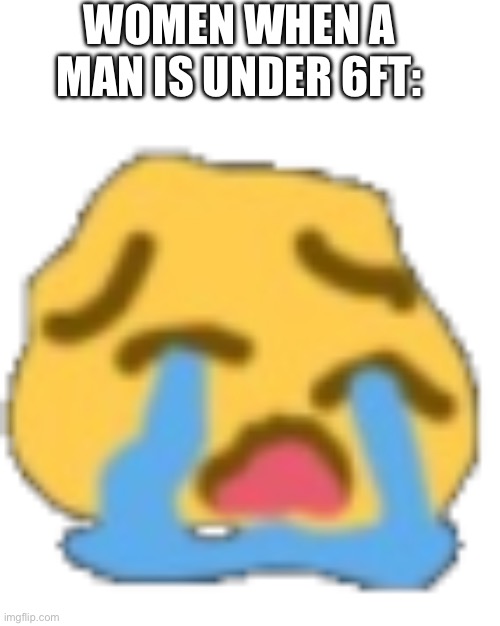 distorted crying emoji | WOMEN WHEN A MAN IS UNDER 6FT: | image tagged in distorted crying emoji | made w/ Imgflip meme maker