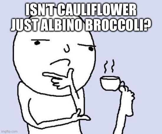 My first shower thought | ISN’T CAULIFLOWER JUST ALBINO BROCCOLI? | image tagged in thinking meme | made w/ Imgflip meme maker