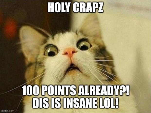 Scared Cat Meme | HOLY CRAPZ; 100 POINTS ALREADY?! DIS IS INSANE LOL! | image tagged in memes,scared cat | made w/ Imgflip meme maker