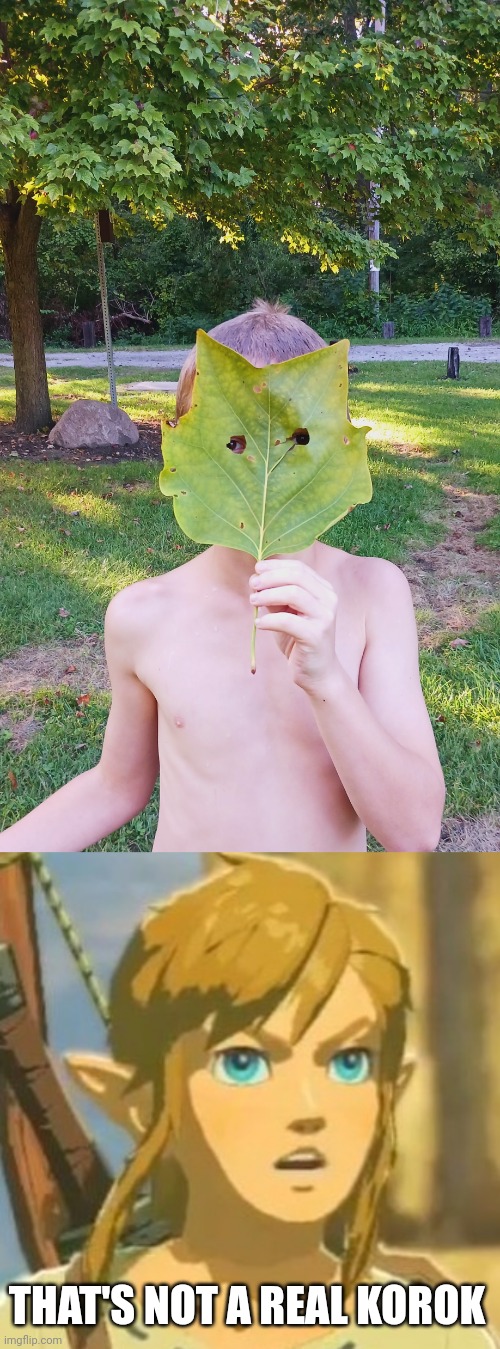 MY SON MADE A KOROK MASK AT THE LAKE TODAY | THAT'S NOT A REAL KOROK | image tagged in offended link,the legend of zelda breath of the wild,korok,the legend of zelda | made w/ Imgflip meme maker