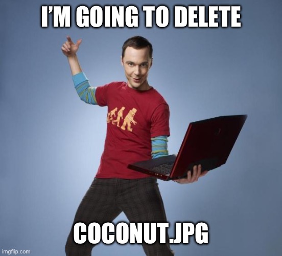 Coconut.jpg | I’M GOING TO DELETE; COCONUT.JPG | image tagged in sheldon,memes,tf2,coconut | made w/ Imgflip meme maker