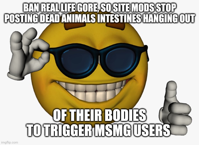 some site mods post this in msmg to trigger us and nobody likes it | BAN REAL LIFE GORE, SO SITE MODS STOP POSTING DEAD ANIMALS INTESTINES HANGING OUT; OF THEIR BODIES TO TRIGGER MSMG USERS | image tagged in cool guy emoji | made w/ Imgflip meme maker