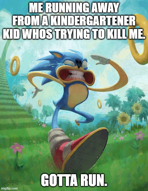 Run sonic | ME RUNNING AWAY FROM A KINDERGARTENER KID WHOS TRYING TO KILL ME. GOTTA RUN. | image tagged in run sonic | made w/ Imgflip meme maker