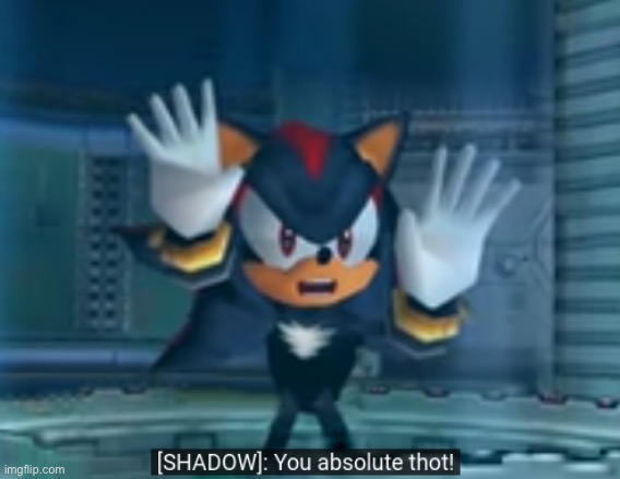 shadow you absolute thot | image tagged in shadow you absolute thot | made w/ Imgflip meme maker