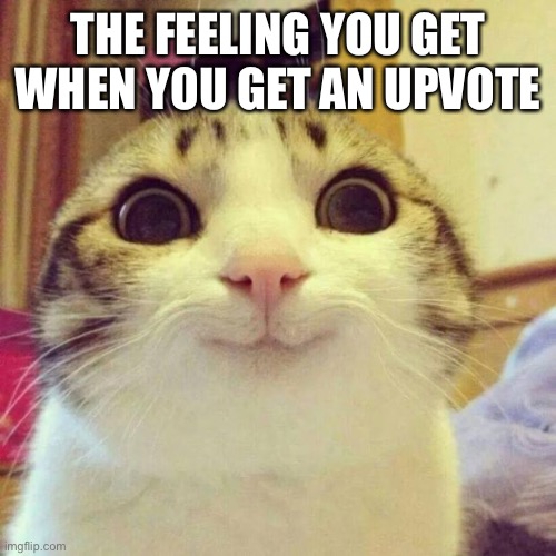 Feeling | THE FEELING YOU GET WHEN YOU GET AN UPVOTE | image tagged in memes,smiling cat,feelings,upvote,upvotes,happy | made w/ Imgflip meme maker