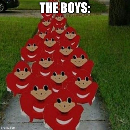 Ugandan knuckles army | THE BOYS: | image tagged in ugandan knuckles army | made w/ Imgflip meme maker