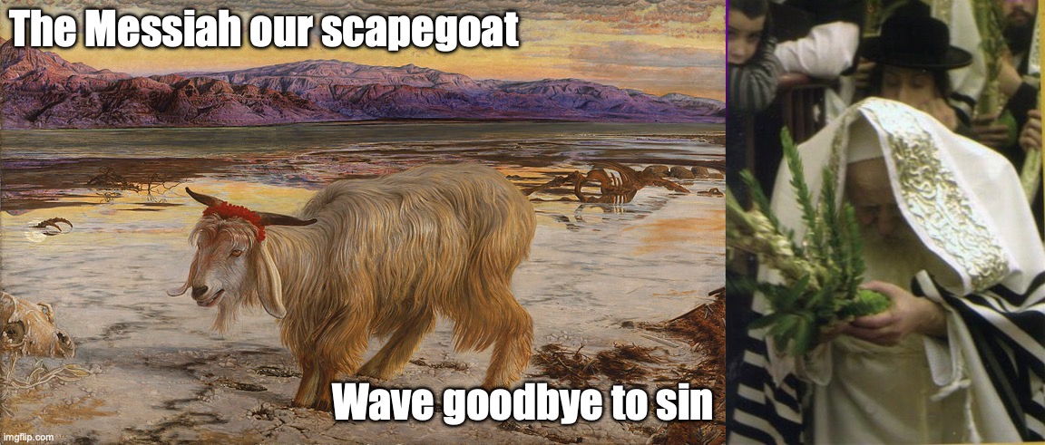 Chag Sameach | The Messiah our scapegoat; Wave goodbye to sin | image tagged in john one twenty-nine | made w/ Imgflip meme maker
