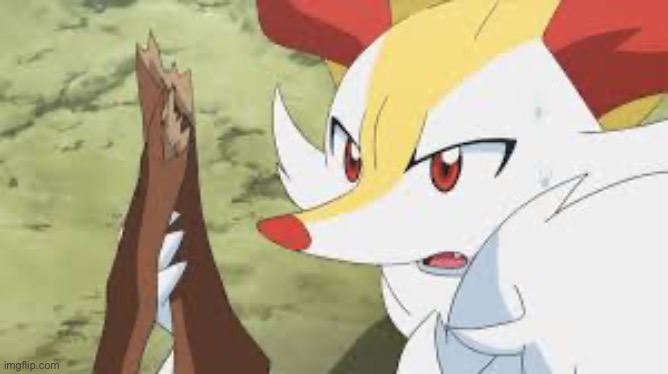 shocked Braixen | image tagged in shocked braixen | made w/ Imgflip meme maker