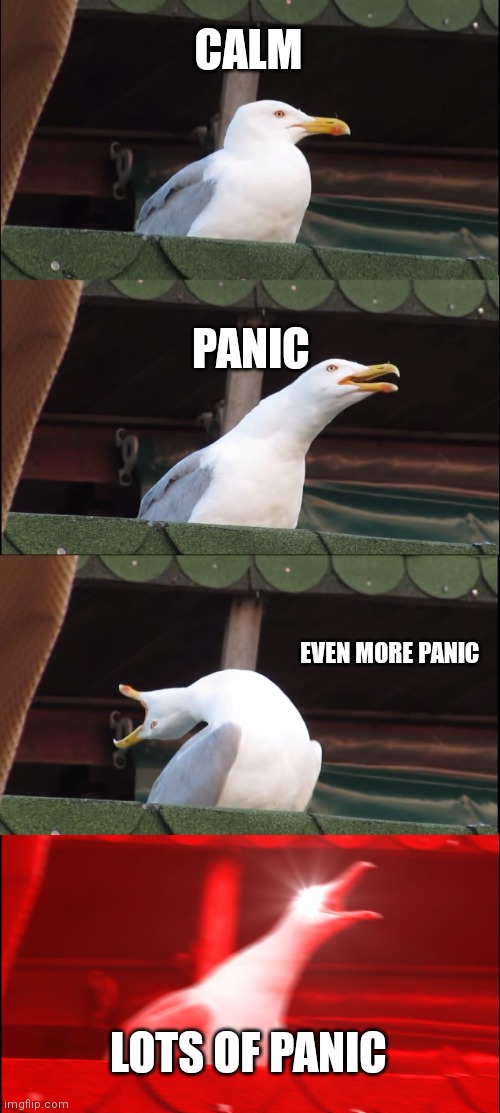 Me when I have a porject due October  the 4th | CALM; PANIC; EVEN MORE PANIC; LOTS OF PANIC | image tagged in memes,inhaling seagull | made w/ Imgflip meme maker