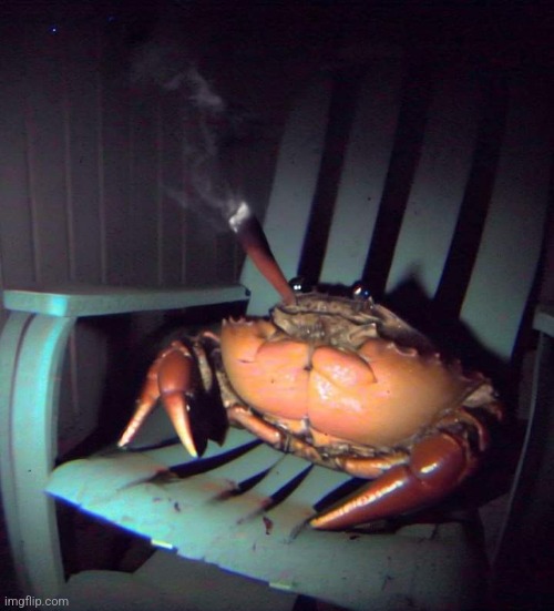 WHOS CRAB IS THIS?? HE STOLE MY LAST BUBBA KUSH BLUNT!!!! SO MAD RN | made w/ Imgflip meme maker