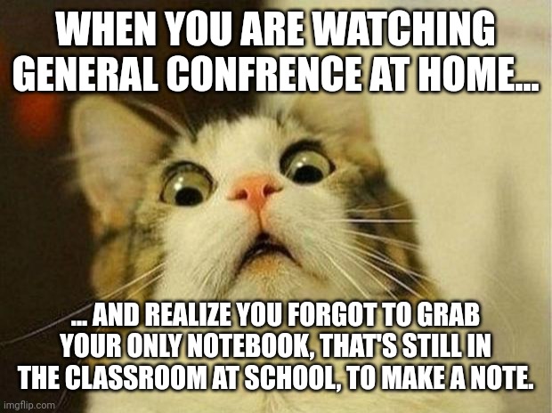 Oh nO!!!! | WHEN YOU ARE WATCHING GENERAL CONFRENCE AT HOME... ... AND REALIZE YOU FORGOT TO GRAB YOUR ONLY NOTEBOOK, THAT'S STILL IN THE CLASSROOM AT SCHOOL, TO MAKE A NOTE. | image tagged in memes,scared cat,oops,i think i forgot something | made w/ Imgflip meme maker