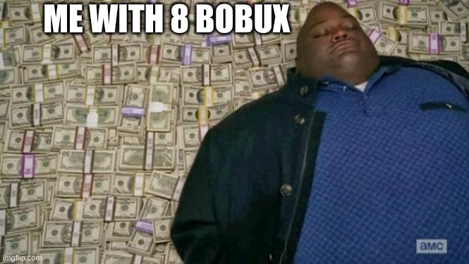 from mom's wallet | ME WITH 8 BOBUX | image tagged in huell money | made w/ Imgflip meme maker